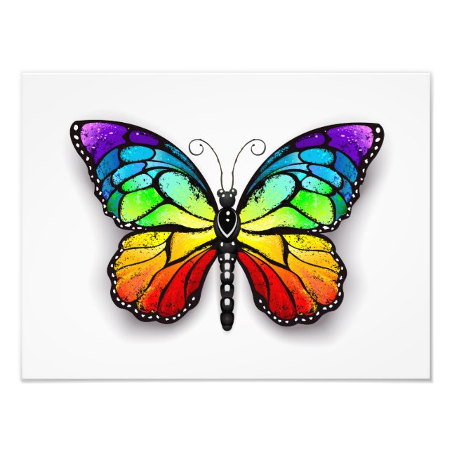 Rainbow-Schmetterling Monarch Fotodruck (Vorne)