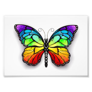 Rainbow-Schmetterling Monarch Fotodruck