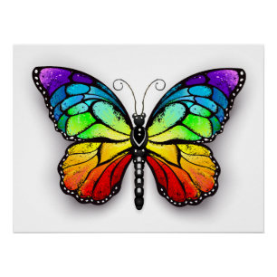 Rainbow-Schmetterling Monarch Poster