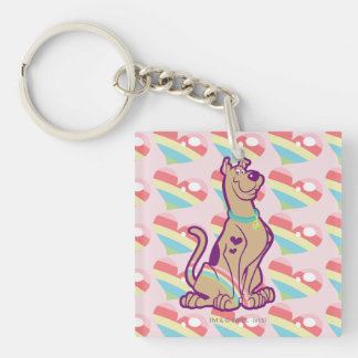 Rainbow Scooby-Doo Schlüsselanhänger