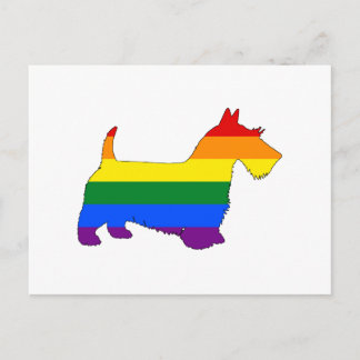 Rainbow Scottish Terrier Postkarte