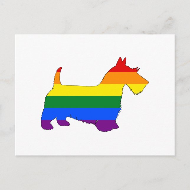 Rainbow Scottish Terrier Postkarte (Vorderseite)