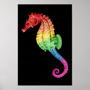 Rainbow-Seepferd Poster