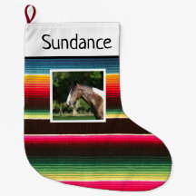 Rainbow Serape Custom Horse 1 Foto
