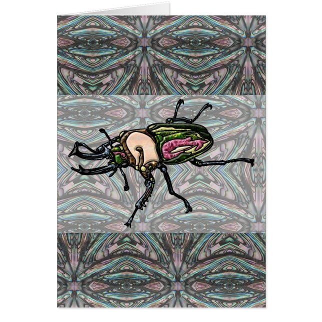Rainbow Stag Beetle (Vorne)
