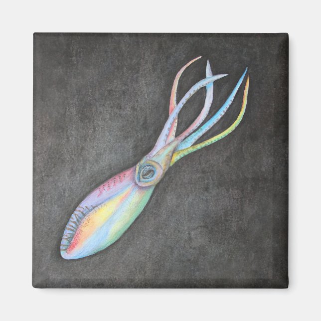 Rainbow Tintenfisch Magnet (Vorne)