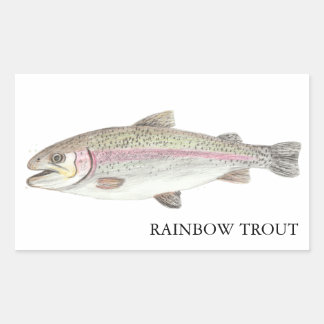 Rainbow Trout ニジマス Rechteckiger Aufkleber