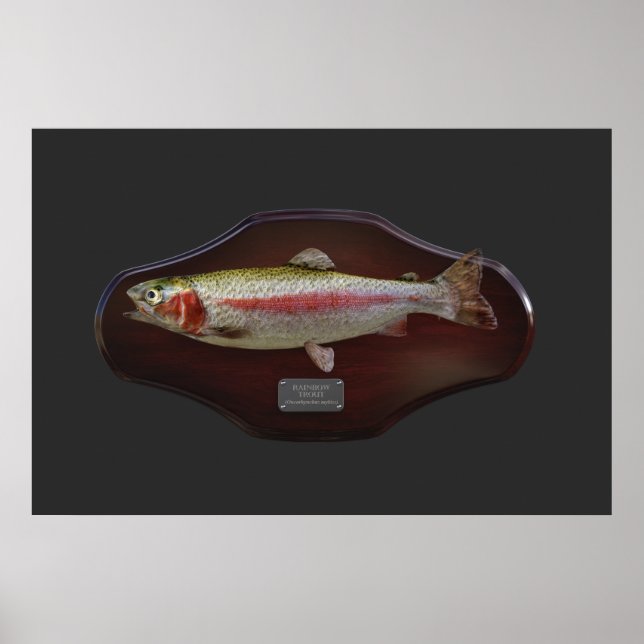 Rainbow Trout Display Plaque Poster (Vorne)