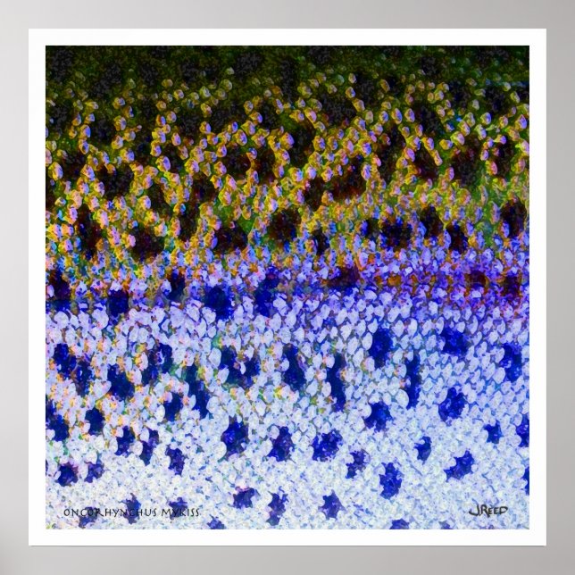 Rainbow Trout FFF Poster (Vorne)