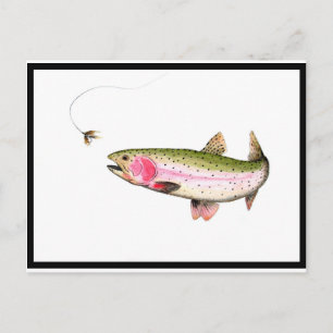 Rainbow Trout Fly Fishing Postkarte