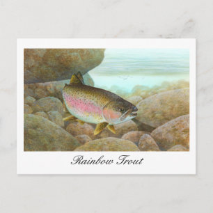 Rainbow Trout Painting Postcard Postkarte