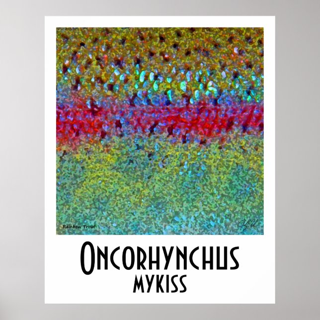 Rainbow Trout Poster (Vorne)