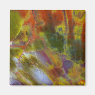 Rainbow-versteinertes Holz Magnet