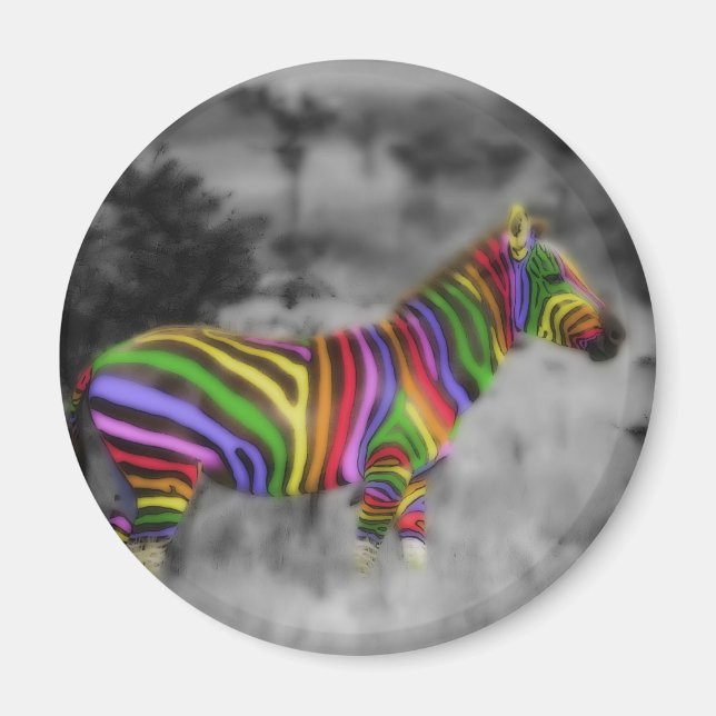 Rainbow Zebra Magnet (Vorne)