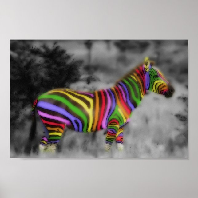 Rainbow Zebra Poster (Vorne)