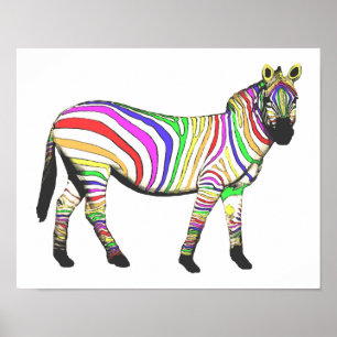 Rainbow Zebra Poster