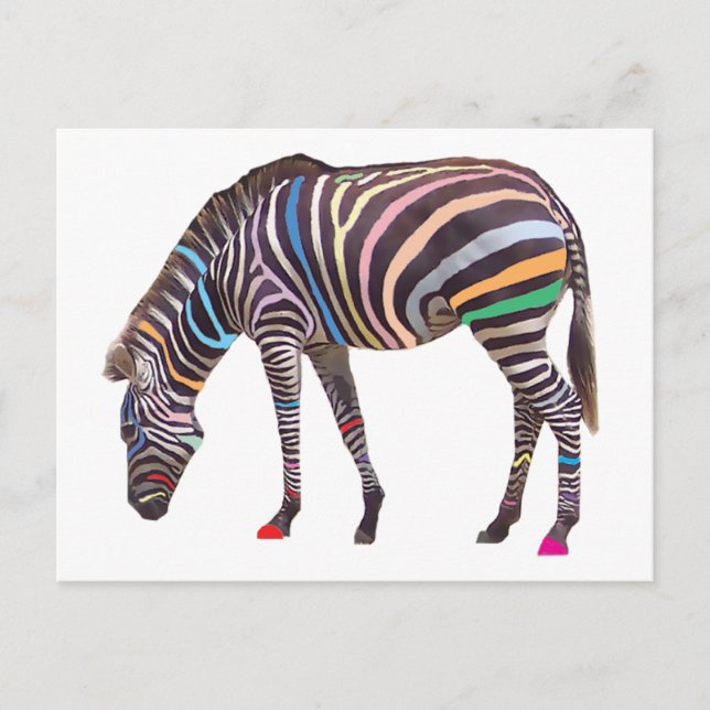 Rainbow Zebra Postkarte (Vorderseite)