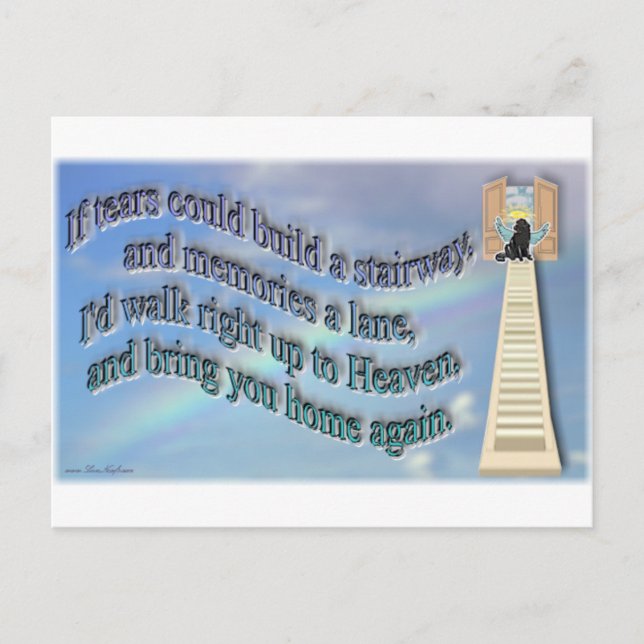 RainbowBridge Postkarte (Vorderseite)