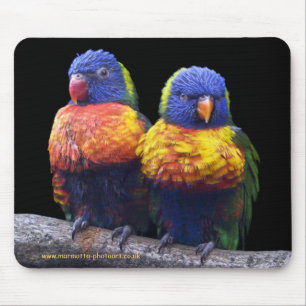 Rainbows Mousemat Mousepad