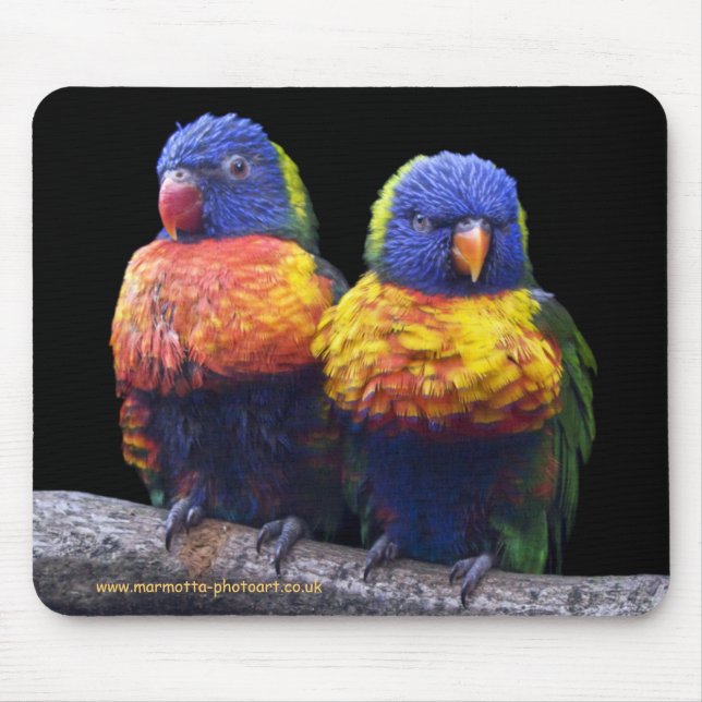 Rainbows Mousemat Mousepad (Vorne)