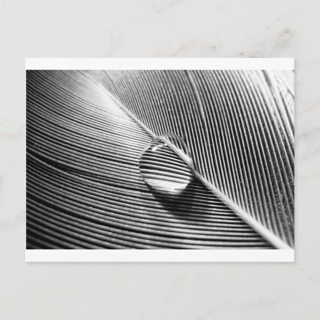 Raindrop am Leaf Postkarte (Vorderseite)