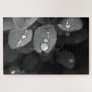 Raindrop auf der linken Seite Puzzle