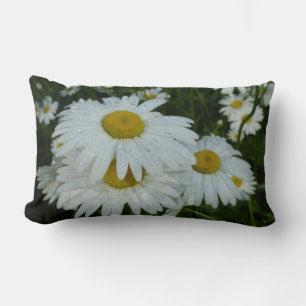 Raindrops auf Daisies Wildblume Floral Lendenkissen