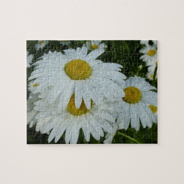 Raindrops auf Daisies Wildblume Floral Puzzle (Horizontal)