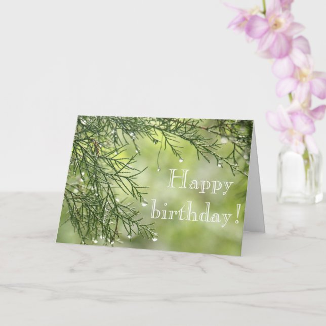Raindrops auf der Pine Birthday Card Karte (Orchidee)