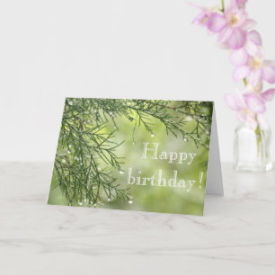 Raindrops auf der Pine Birthday Card Karte