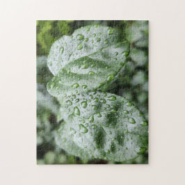 Raindrops auf dunkelgrünen Blätter Puzzle