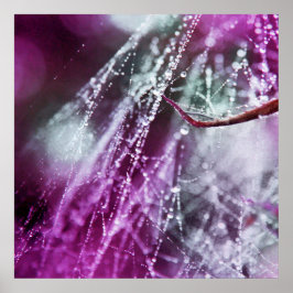 Raindrops auf Lila Cobweb Macro Abstrakt Poster