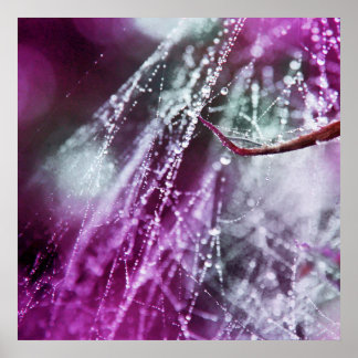 Raindrops auf Lila Cobweb Macro Abstrakt Poster