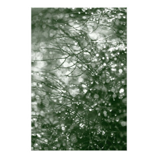 Raindrops Fotodruck