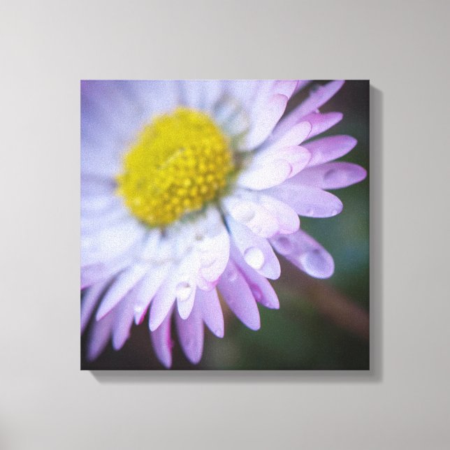 Raindrops Leinwanddruck (Vorderseite)