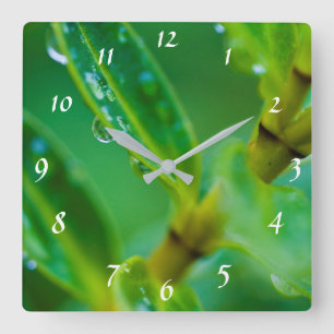 Raindrops on green leaves Acrylic wall clock Quadratische Wanduhr