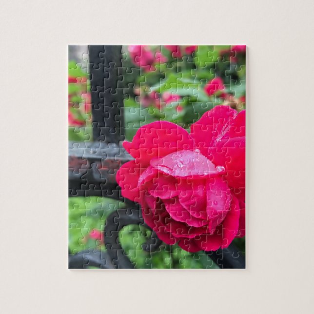Raindrops Rosa Blume Rose Rainy Day NYC Puzzle (Vertikal)
