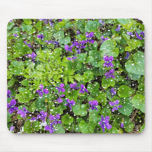 Raindrops und Violets-Maus Pad Mousepad (Vorne)