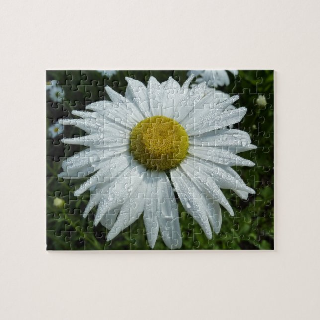 Raindrops zur Daisy-II-Wildblume Puzzle (Horizontal)
