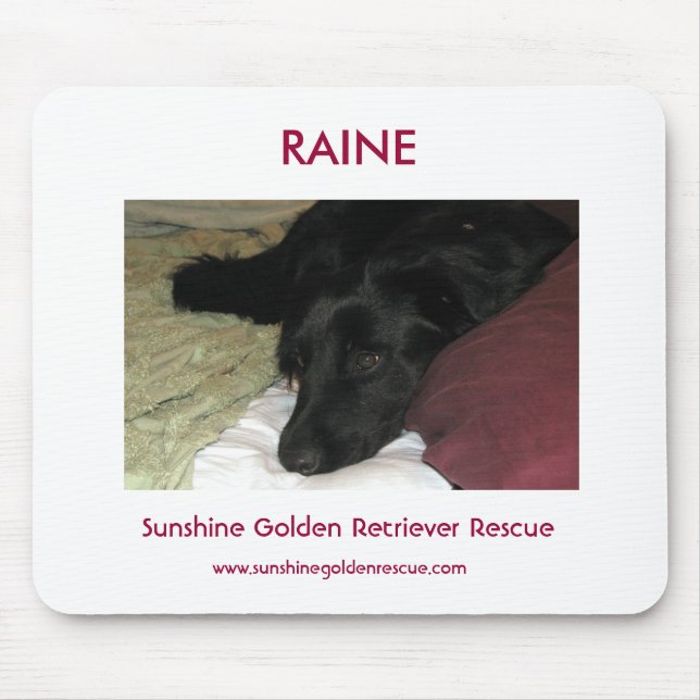 Raine - SunshineGolden Retriever-Rettung Mousepad (Vorne)