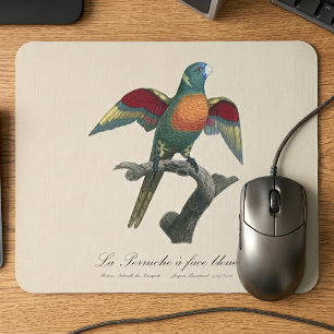 Rainerlorikit, Trichoglossus haematodus Mousepad