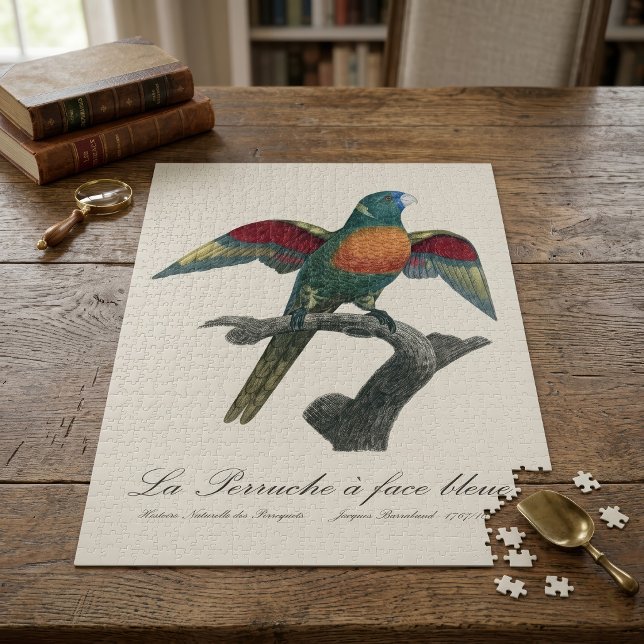 Rainerlorikit, Trichoglossus haematodus Puzzle (Coconut Lorikeet, Trichoglossus haematodus. Jigsaw Puzzle)