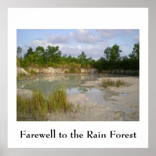 Rainforest Conservation Poster