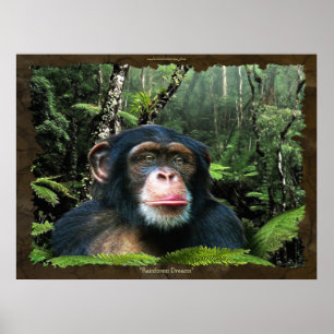 "RAINFOREST DREAMS II" Schimpanse Art Poster