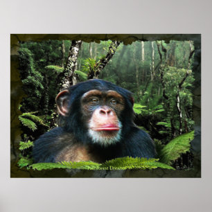 "RAINFOREST DREAMS II" Schimpanse Art Poster