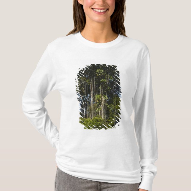 Rainforest Guyana T-Shirt (Vorderseite)