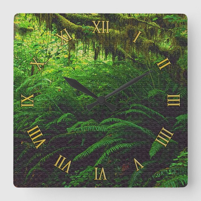 Rainforest Jungle Nature-Lover's Wall Quadratische Wanduhr (Vorderseite)