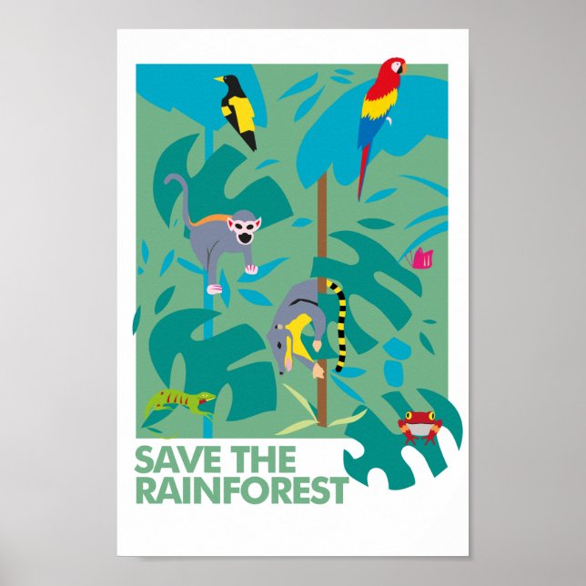 RAINFOREST POSTER (Vorne)