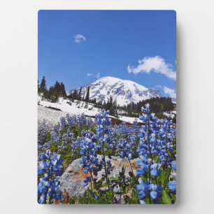 Rainier am Paradise Point Fotoplatte