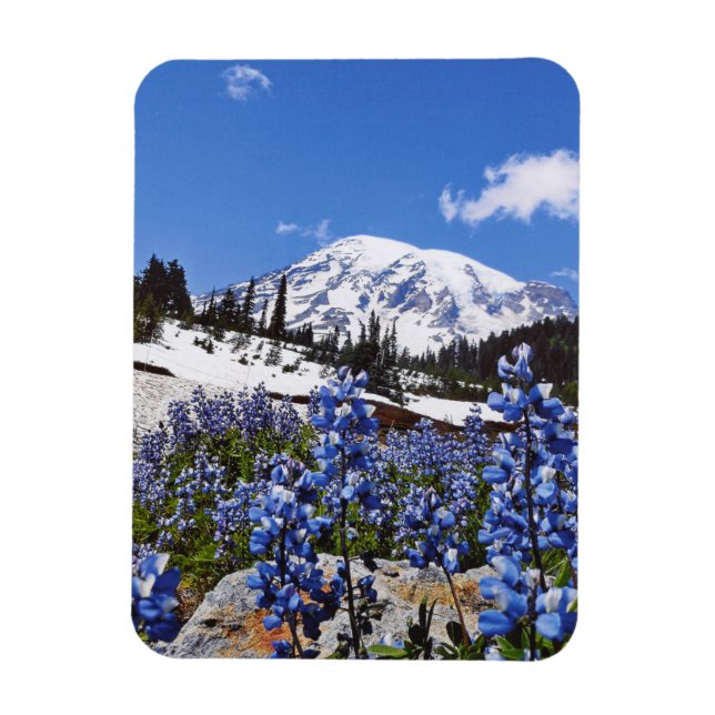 Rainier am Paradise Point Magnet (Vertikal)